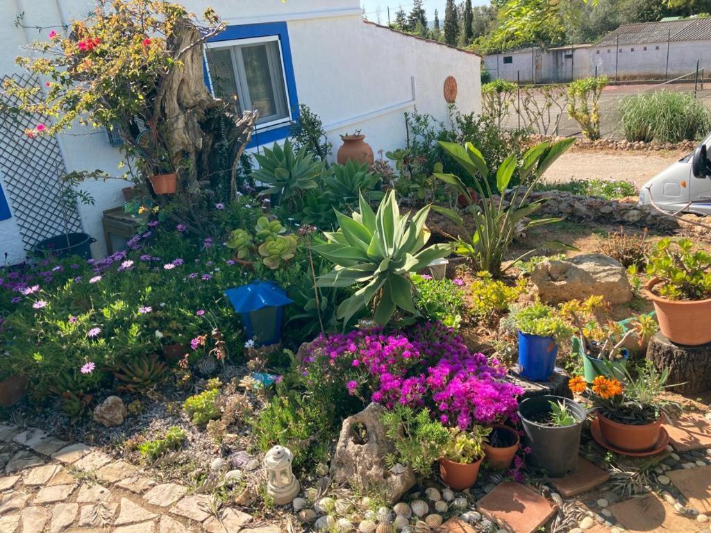 Casa Joy Villa Guia  Exteriör bild